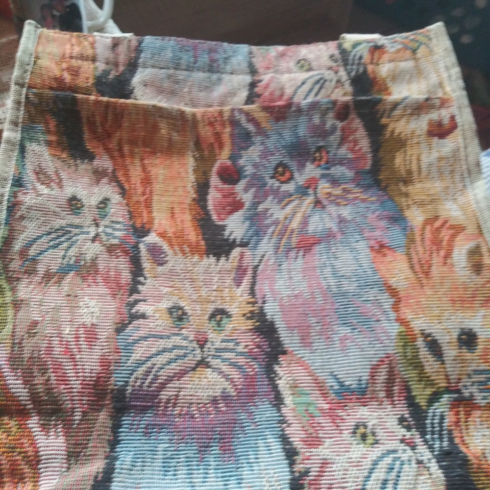Bag with kittens